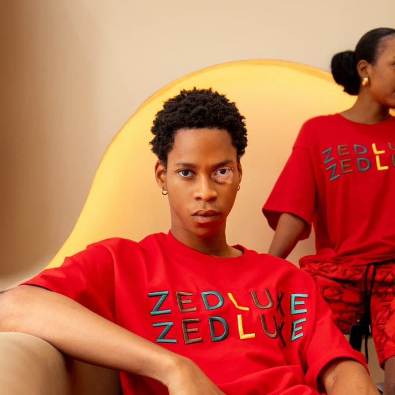 ZEDLUXE logo tee